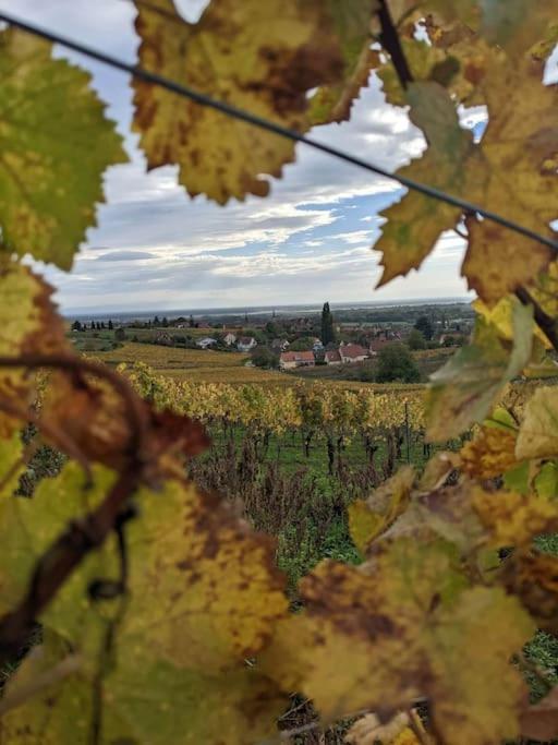 Le Kelsch, Loft Duplex 130M2 Avec Sauna, Proche Vignoble Marlenheim Exteriér fotografie